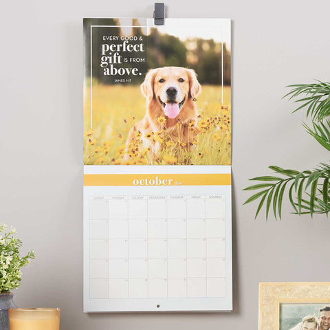 Wall Calendars