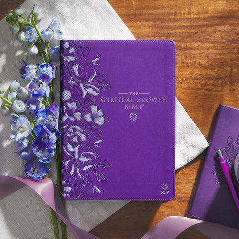 Purple Bibles