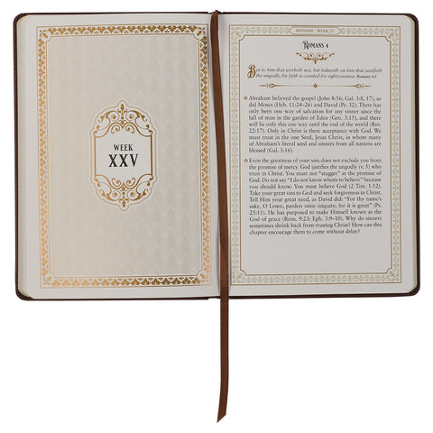 Large Print Edition Daily Devotions from the KJV Brown Faux Leather Devotional