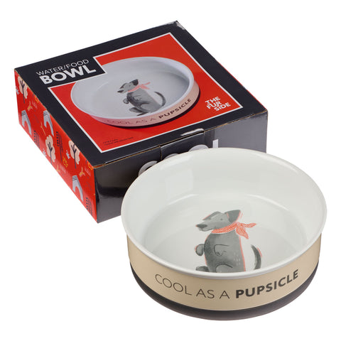 Cool As A Pupsicle Large Taupe Ceramic Dog Bowl