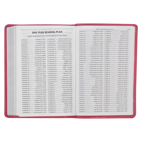 Pink Faux Leather Compact King James Version Bible