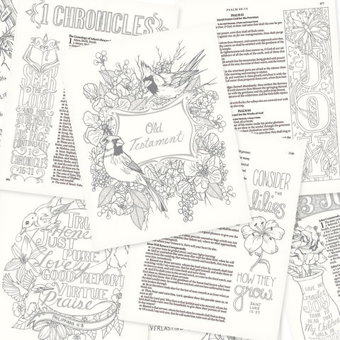 Saddle Tan Faux Leather Hardcover KJV My Creative Bible