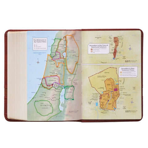 Two-tone Brown Faux Leather Large Print Compact King James Version Bible