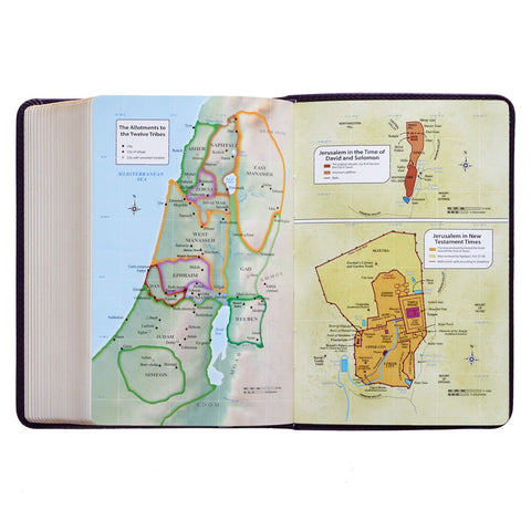 Purple Faux Leather Large Print Compact King James Version Bible