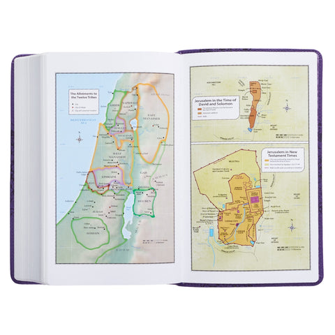 Two-tone Purple Floral Faux Leather Giant Print Standard-size King James Version Bible