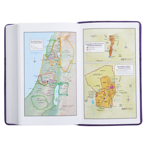 Brown and Tan Faux Leather Standard-size Giant Print King James Version Bible