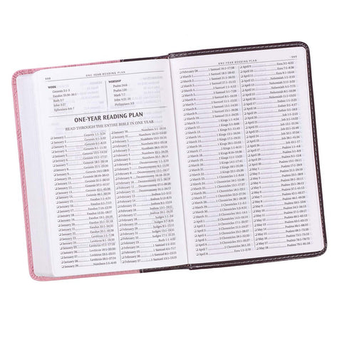 Burgundy and Pink  Faux Leather Compact King James Version Bible