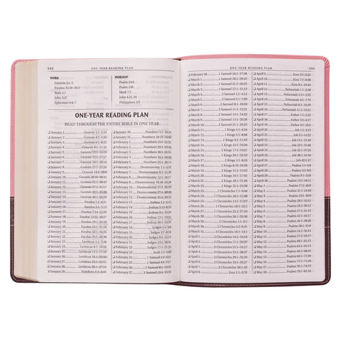 Pink and Brown Large Print Faux Leather Thinline King James Version Bible