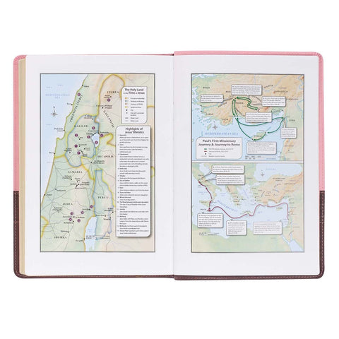 Pink and Brown Large Print Faux Leather Thinline King James Version Bible