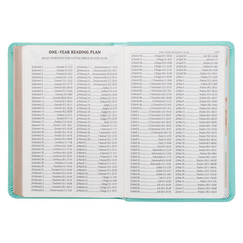 Robin’s-egg Blue Faux Leather Large Print Compact King James Version Bible