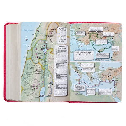 Pink Faux Leather Large Print Compact King James Version Bible