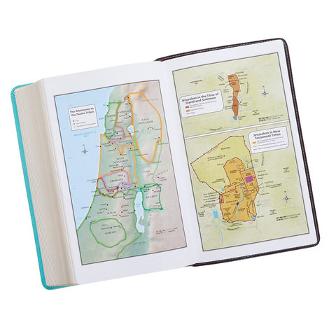 Brown and Turquoise Faux Leather Giant Print King James Version Bible