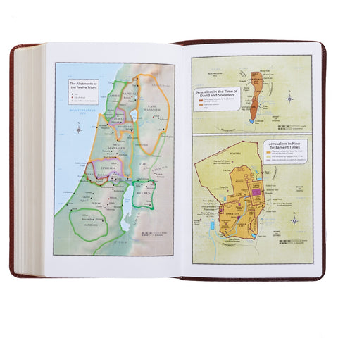 Two-tone Brown Faux Leather Giant Print Standard-size King James Version Bible