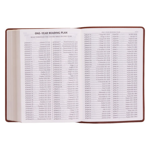 Saddle Tan Faux Leather Super Giant Print King James Version Bible