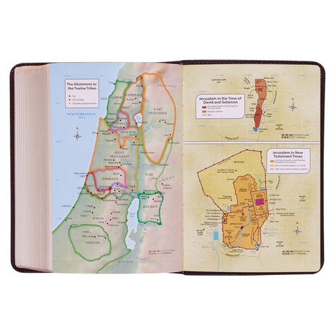 Dark Brown Faux Leather Large Print Compact King James Version Bible