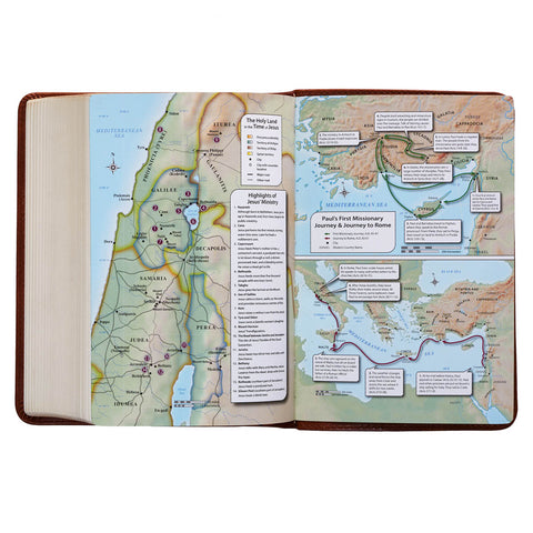 Saddle Tan Faux Leather Large Print Compact King James Version Bible