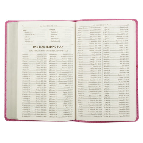 Pink Faux Leather King James Version Gift Edition Bible
