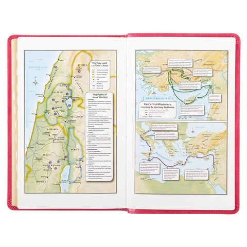 Pink Faux Leather King James Version Deluxe Gift Bible with Thumb Index