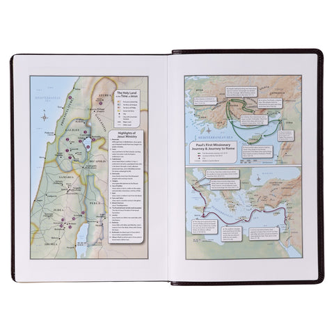 Antiqued Dark Brown Faux Leather Giant Print Full-size King James Version Bible with Thumb Index