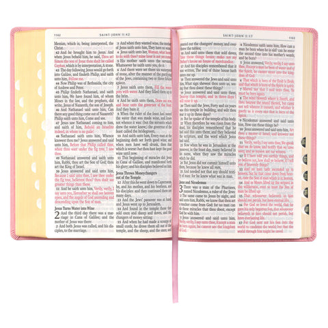 Pink Faux Leather Giant Print Full-size King James Version Bible with Thumb-index