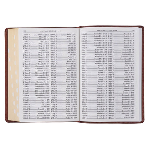 Saddle Tan Full Grain Leather Giant Print Full-size King James Version Bible with Thumb Indexing