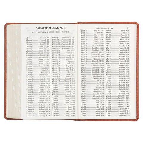 Honey Brown Faux Leather Giant Print Standard-size King James Version Bible with Thumb Index