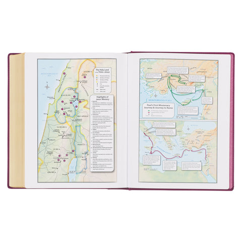 Red Plum Faux Leather Hardcover Large Print King James Version Note-taking Bible