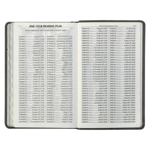 Gray and Black Faux Leather Giant Print Standard-size King James Version Bible with Thumb Index