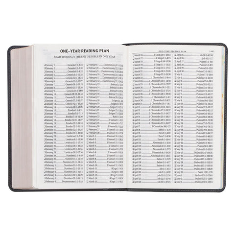 Cobalt Gray Large Print Compact King James Version Bible