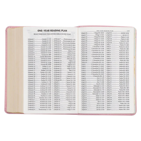 Ballet Pink Large Print Compact King James Version Bible