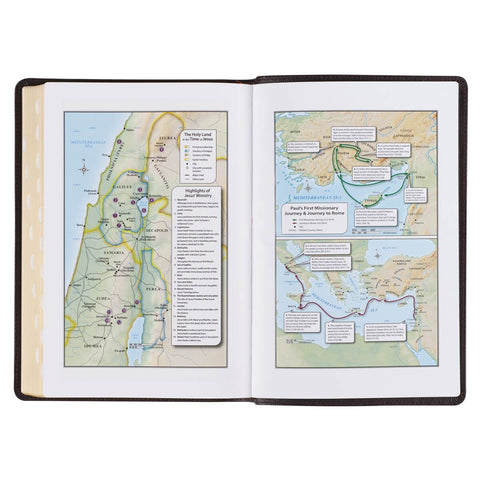 Brown Full Grain Leather Large Print Thinline King James Version Bible with Thumb Index