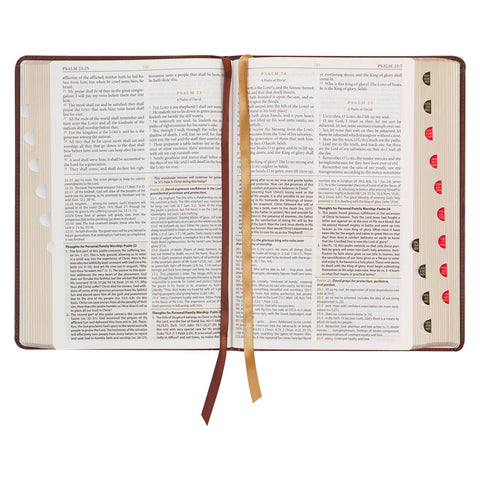 Art Nouveau Framed Toffee Brown Faux Leather Large Print King James Study Bible with Thumb Index