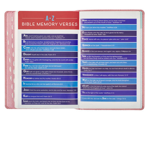 Blossom Pink Heart Faux Leather King James Version Kid's Bible