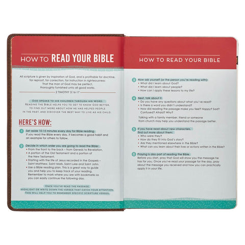 Lion Brown Faux Leather Kid's King James Version Bible