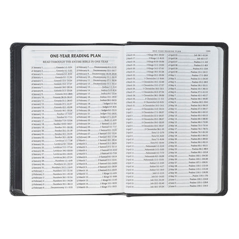 Black and Gray Lion Faux Leather Hardcover Compact King James Version Bible