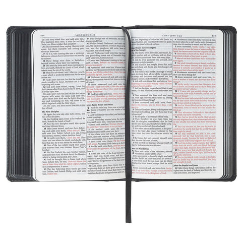 Black and Gray Lion Faux Leather Hardcover Compact King James Version Bible