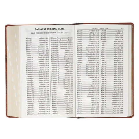 Rooted Brown Faux Leather Hardcover Standard-size Giant Print King James Version Bible with Thumb Index