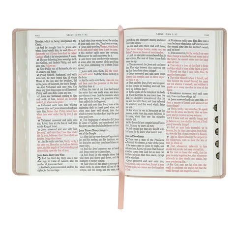 Blush Pink Floral Giant Print Full-size King James Version Bible with Thumb Index
