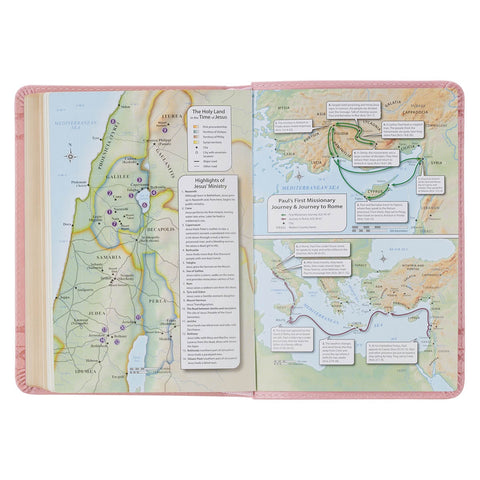 Crown of Thorns Pink faux Leather Large Print Compact King James Bible