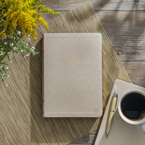 Pearlescent Taupe Faux Leather Spiritual Growth Bible