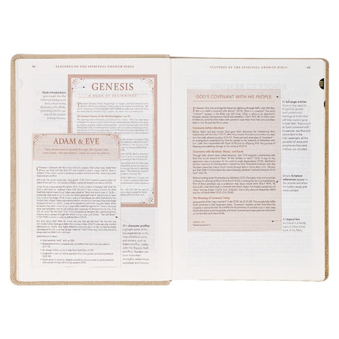 Pearlescent Taupe Faux Leather Spiritual Growth Bible