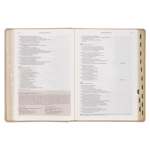 Pearlescent Taupe Faux Leather Spiritual Growth Bible