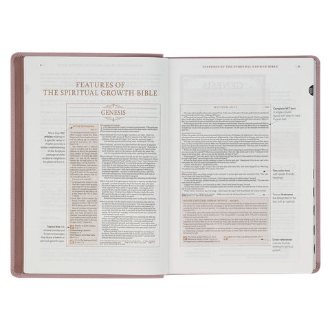 Dusty Mauve Faux Leather Spiritual Growth Bible