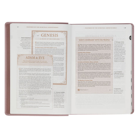 Dusty Mauve Faux Leather Spiritual Growth Bible