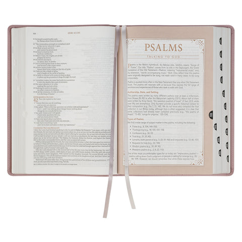 Dusty Mauve Faux Leather Spiritual Growth Bible
