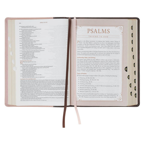 Brown and Blush Pink Faux Leather Spiritual Growth Bible