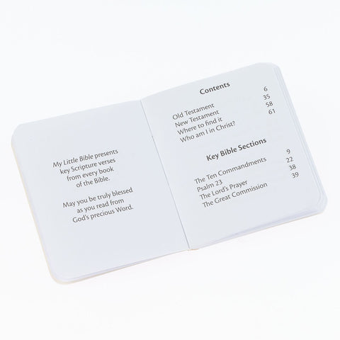 Light Taupe My Little Bible