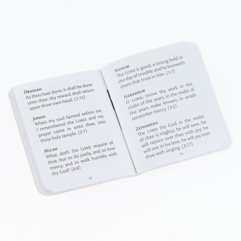 Light Taupe My Little Bible