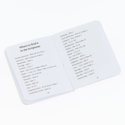 Light Taupe My Little Bible