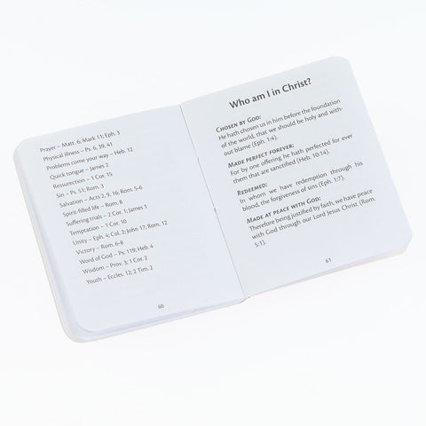 Light Taupe My Little Bible